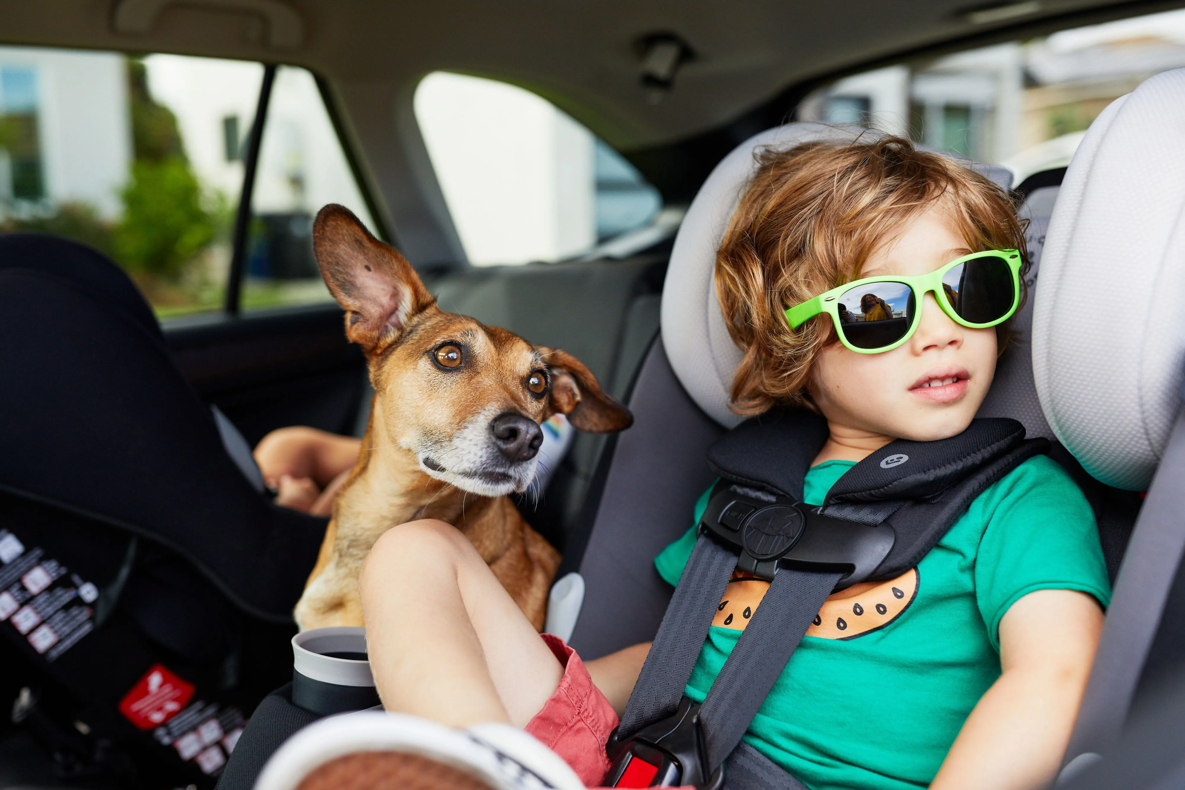 Maxi-Cosi Pria All-in-1 car seat - PureCosi