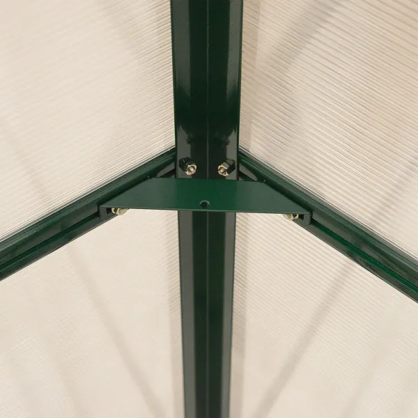 Palram Canopia Balance Green Greenhouse