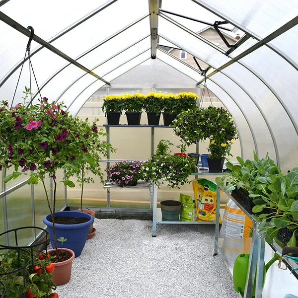 Palram Canopia Bella Greenhouse